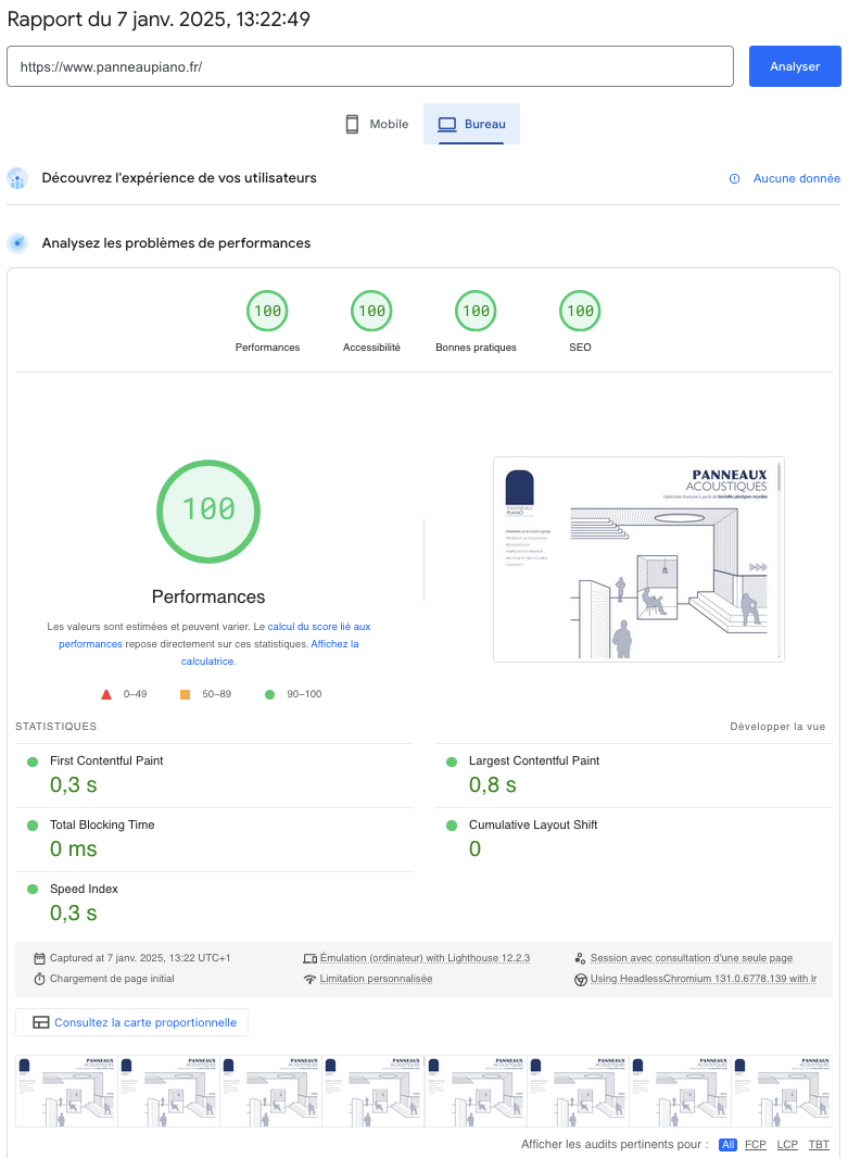 Capture écran d'un rapport des performances d'un site WordPress avec PageSpeed Insights de Google