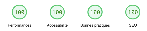 Perfomances, accessibilité, bonnes-pratiques et SEO à 100% avec PageSpeed Insights